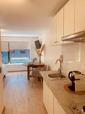 Exquisito departamento en Providencia